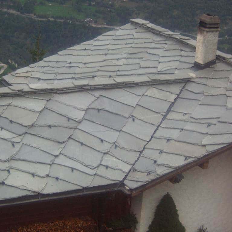 Norvégienne Alta